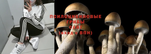 прущая мука Беломорск